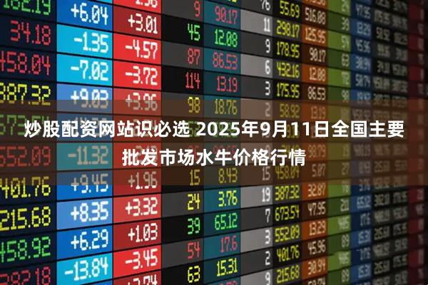 炒股配资网站识必选 2025年9月11日全国主要批发市场水牛价格行情